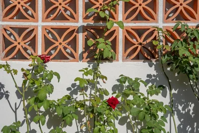 Baan Old Town Boutique Stay, Phuket Town – Foto 11
